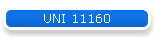UNI 11160